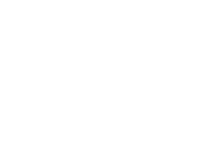 Adidas logo